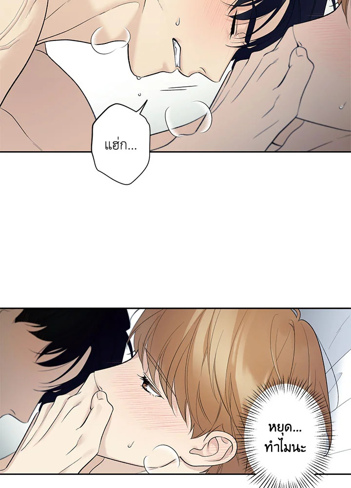 หน้า 45
