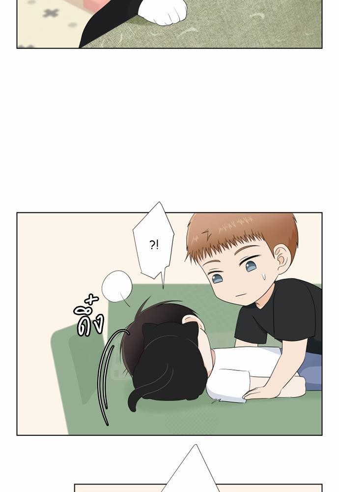 หน้า 51