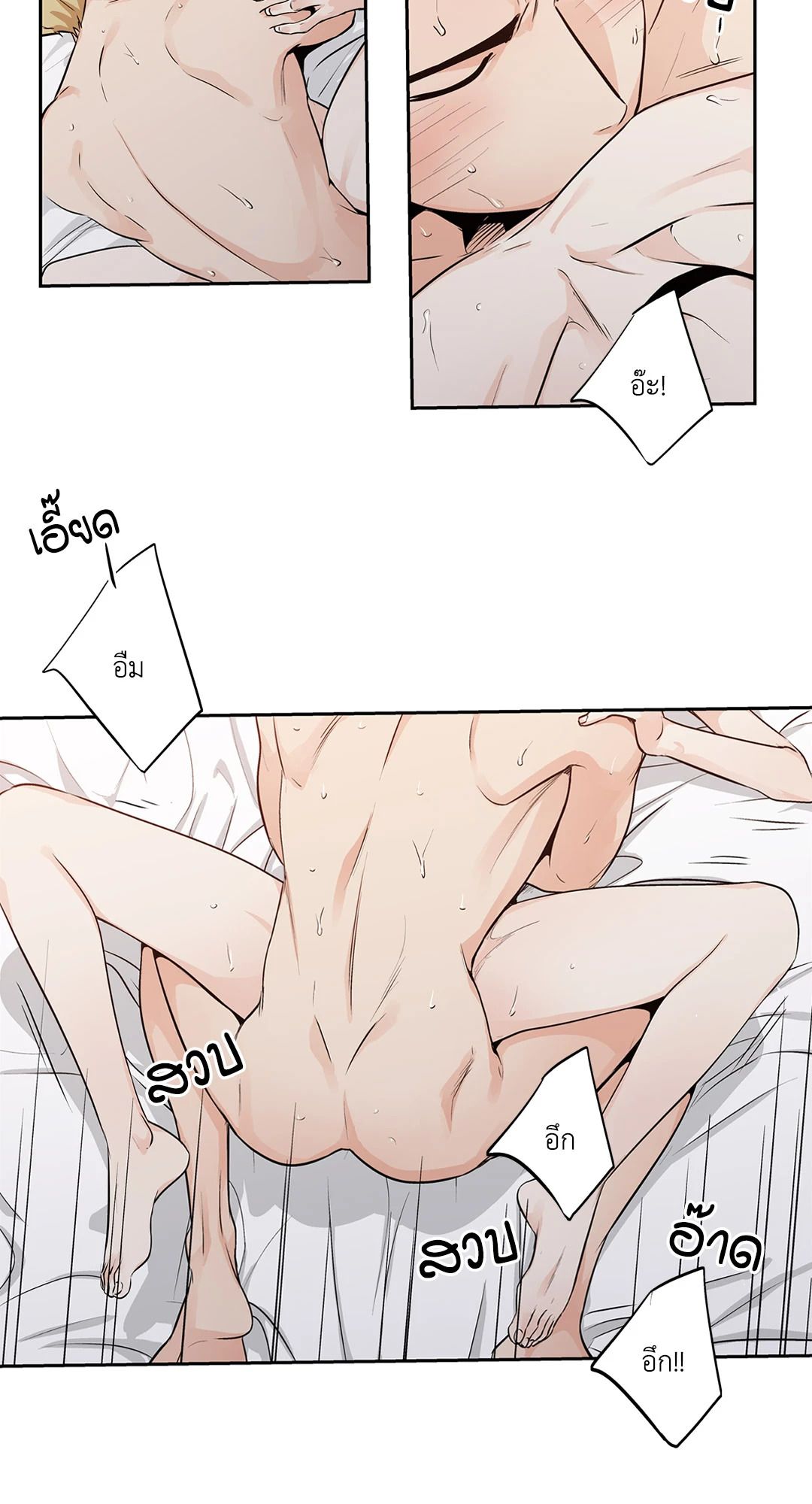 หน้า 38