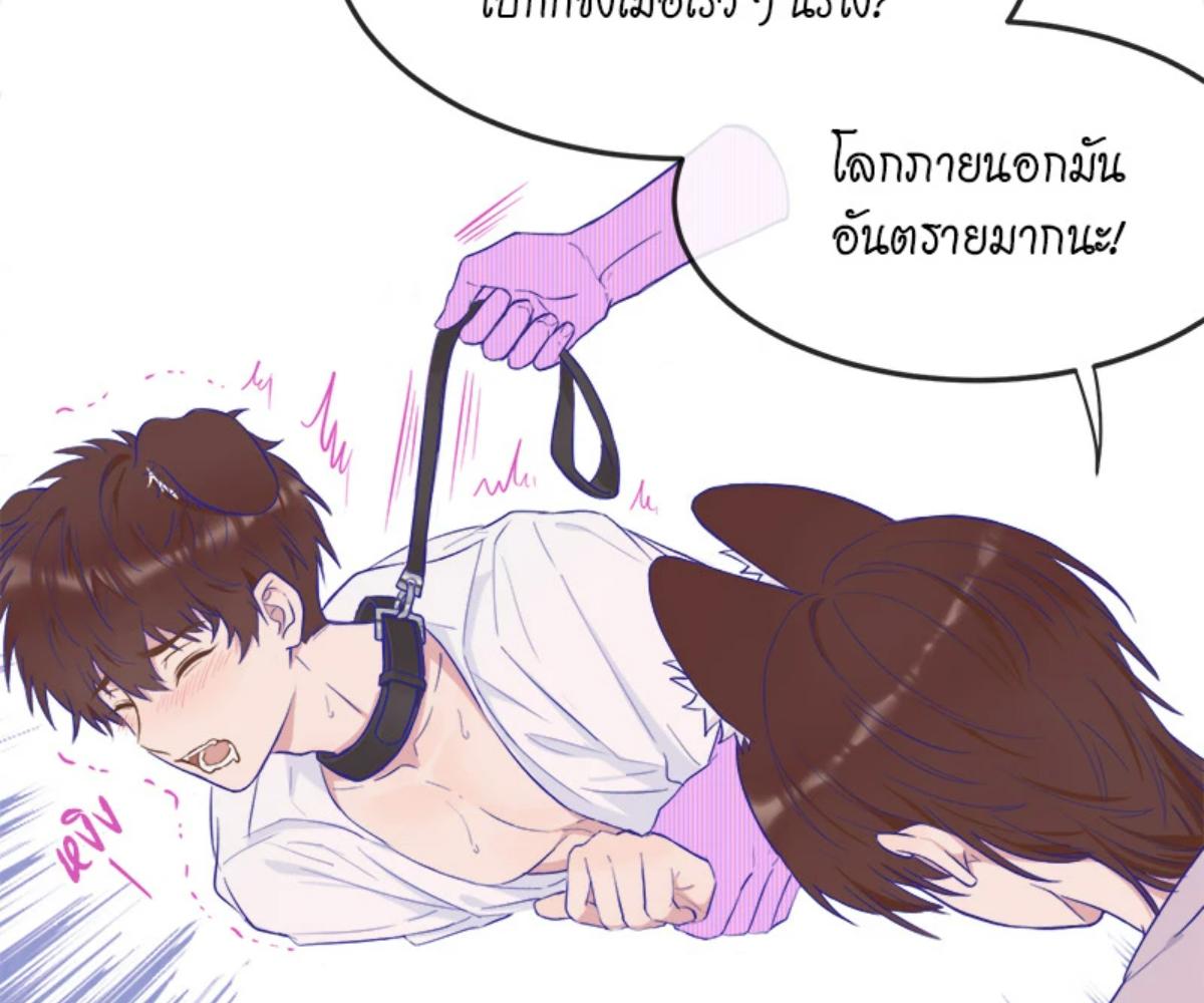 หน้า 41