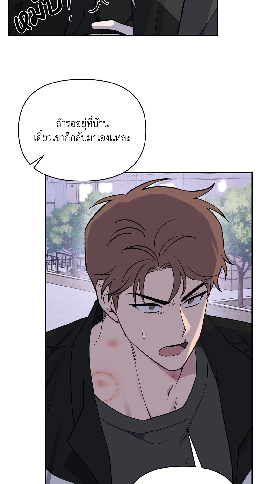 หน้า 52