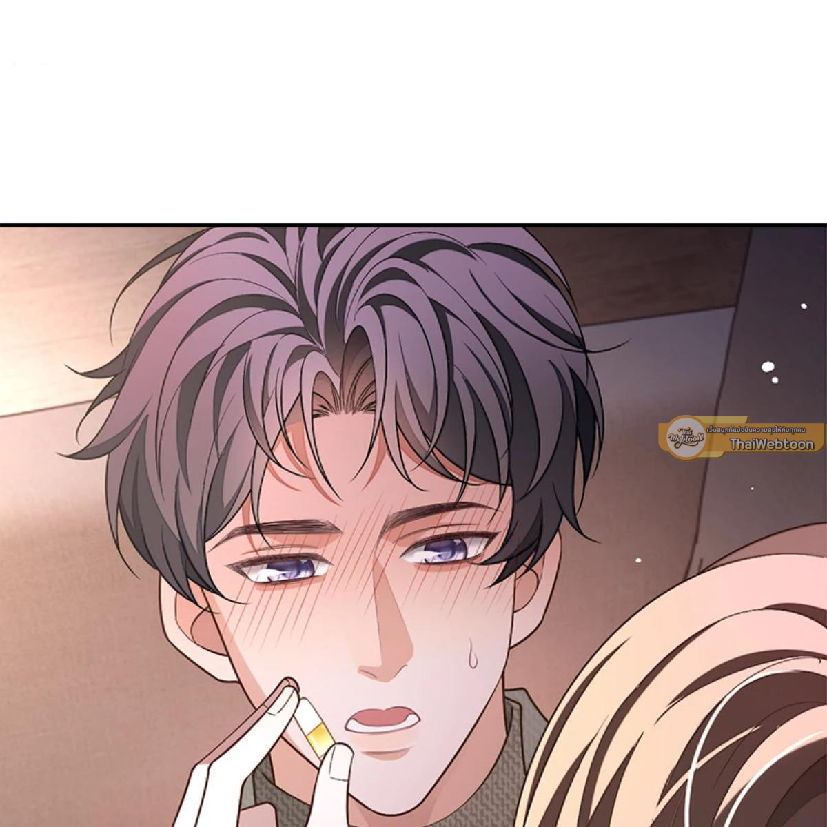 หน้า 28