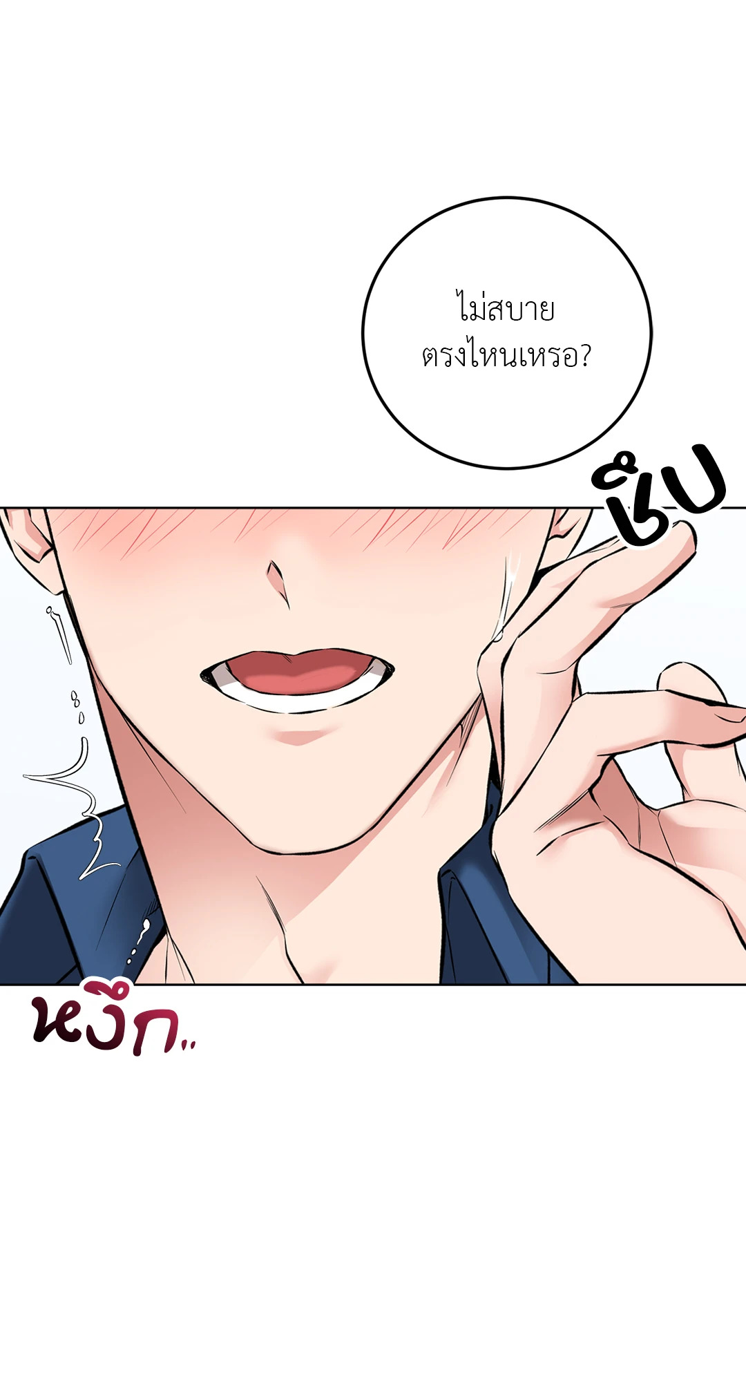 หน้า 43