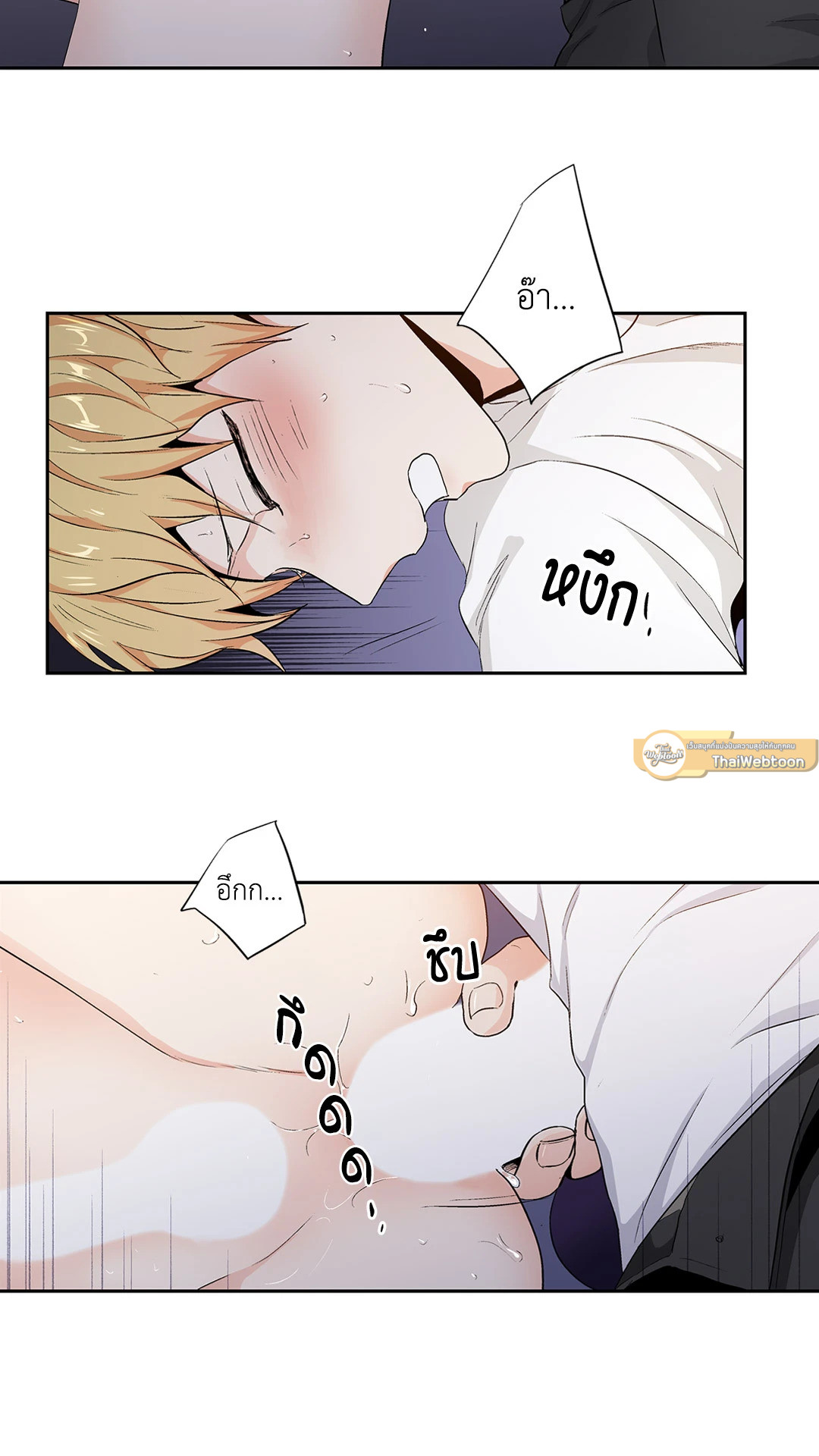 หน้า 31
