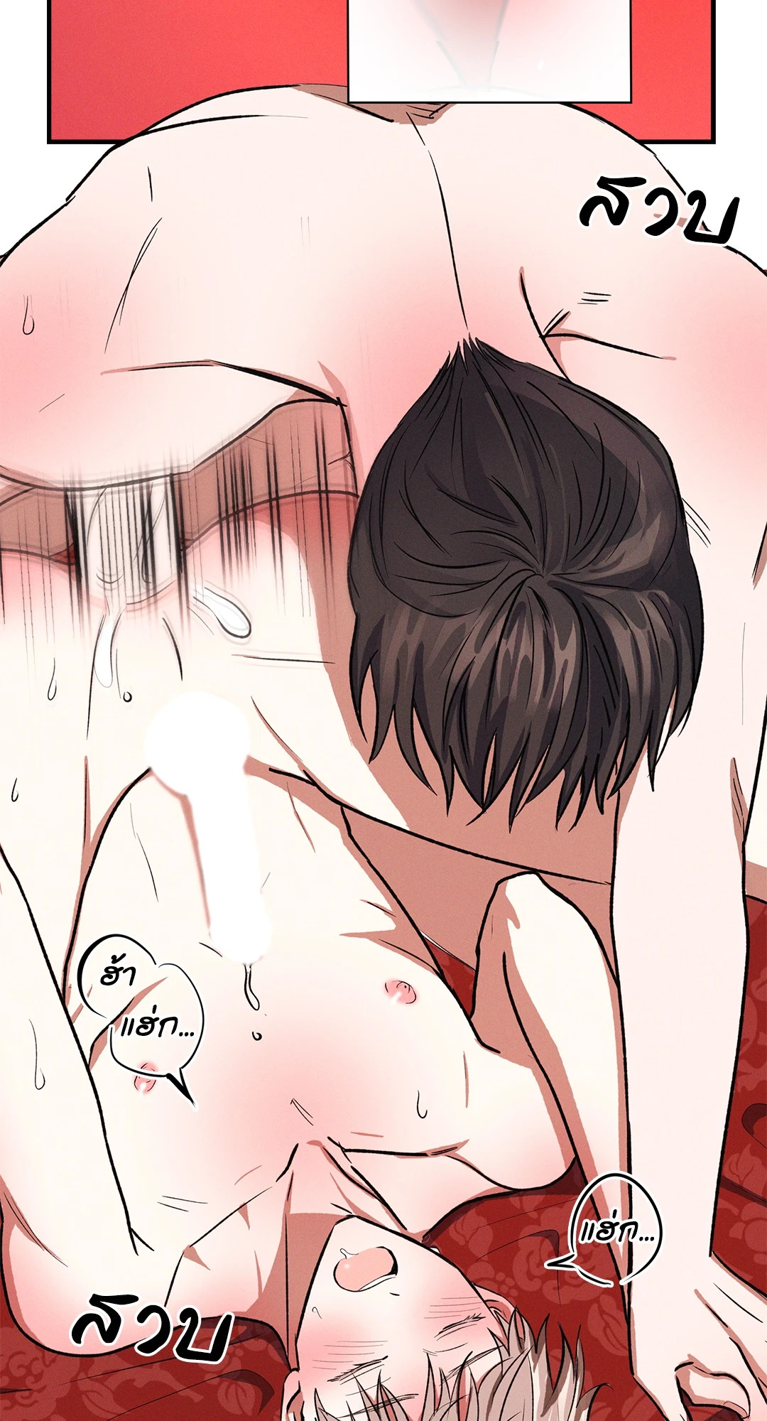 หน้า 42
