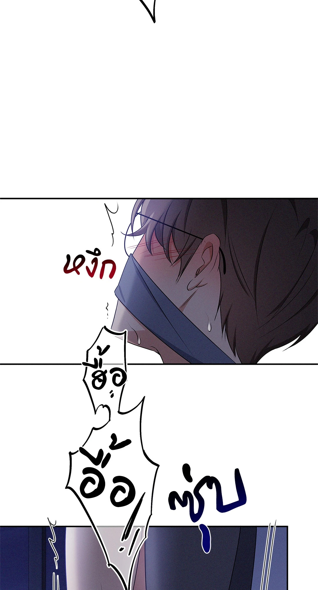 หน้า 43