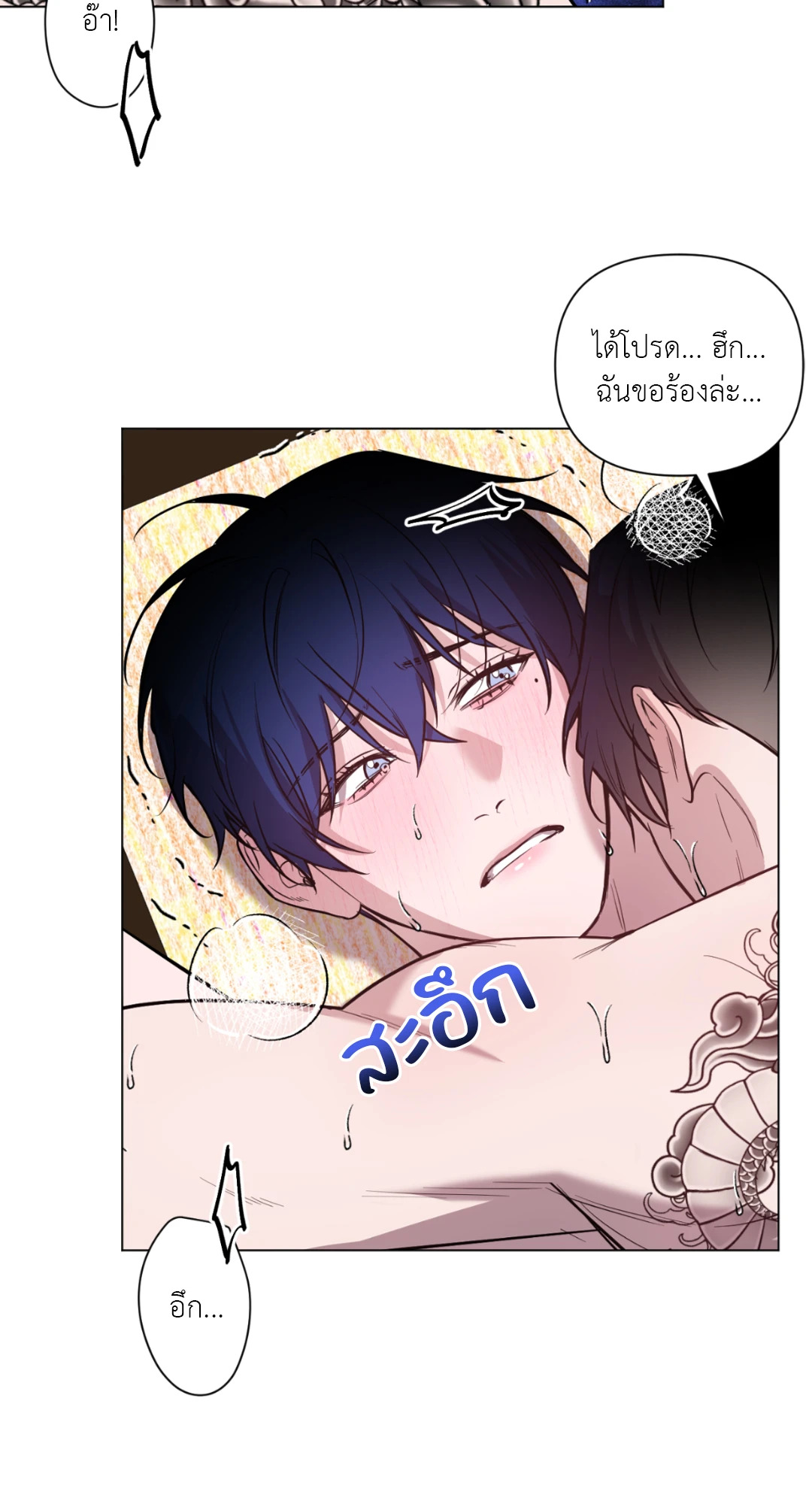 หน้า 43