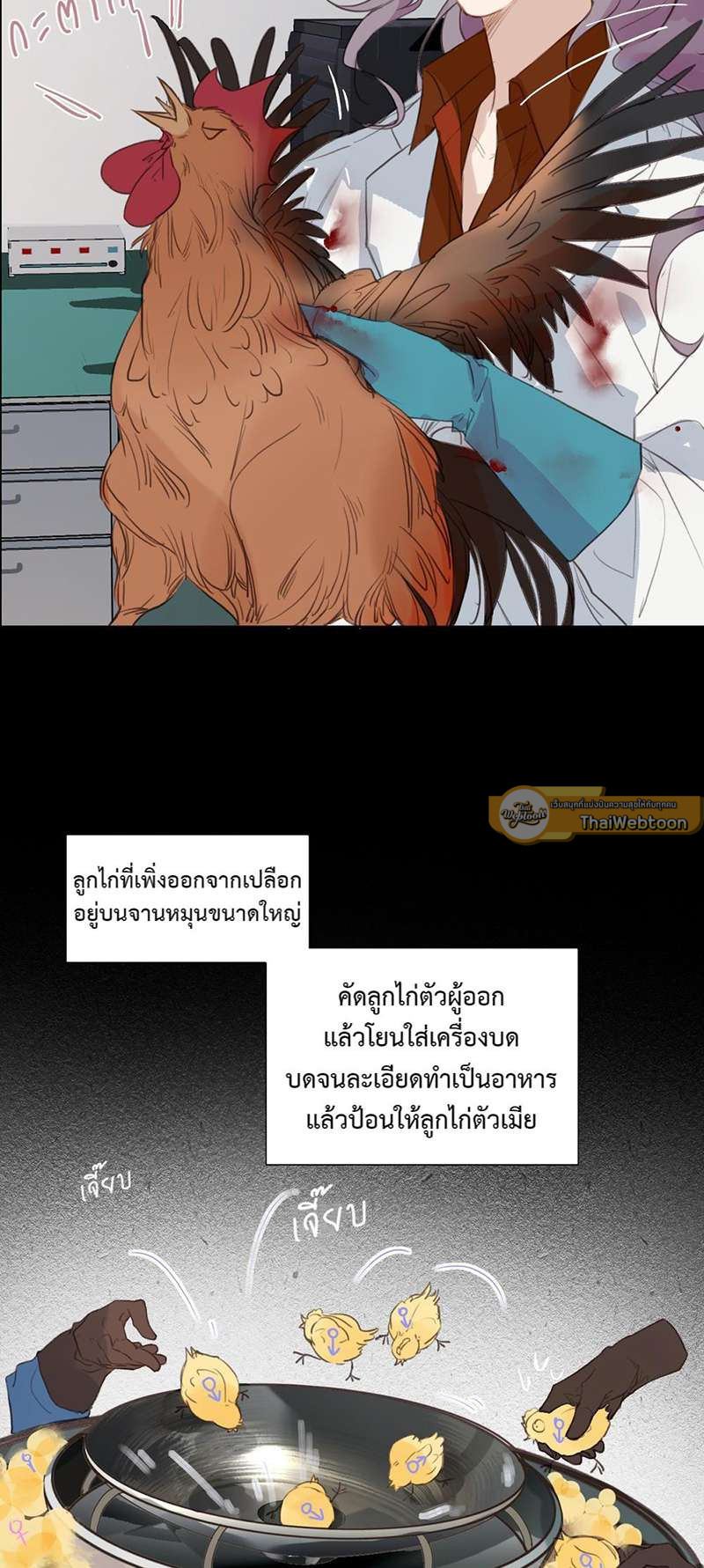 หน้า 28