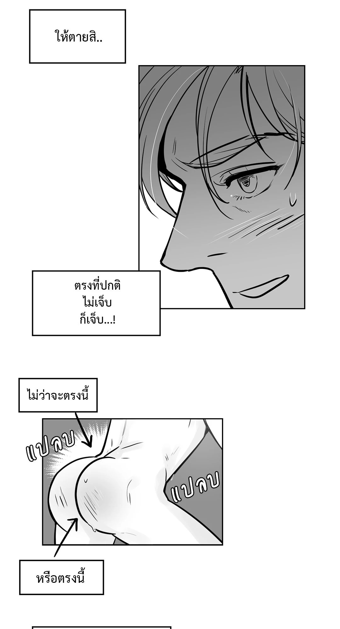 หน้า 25