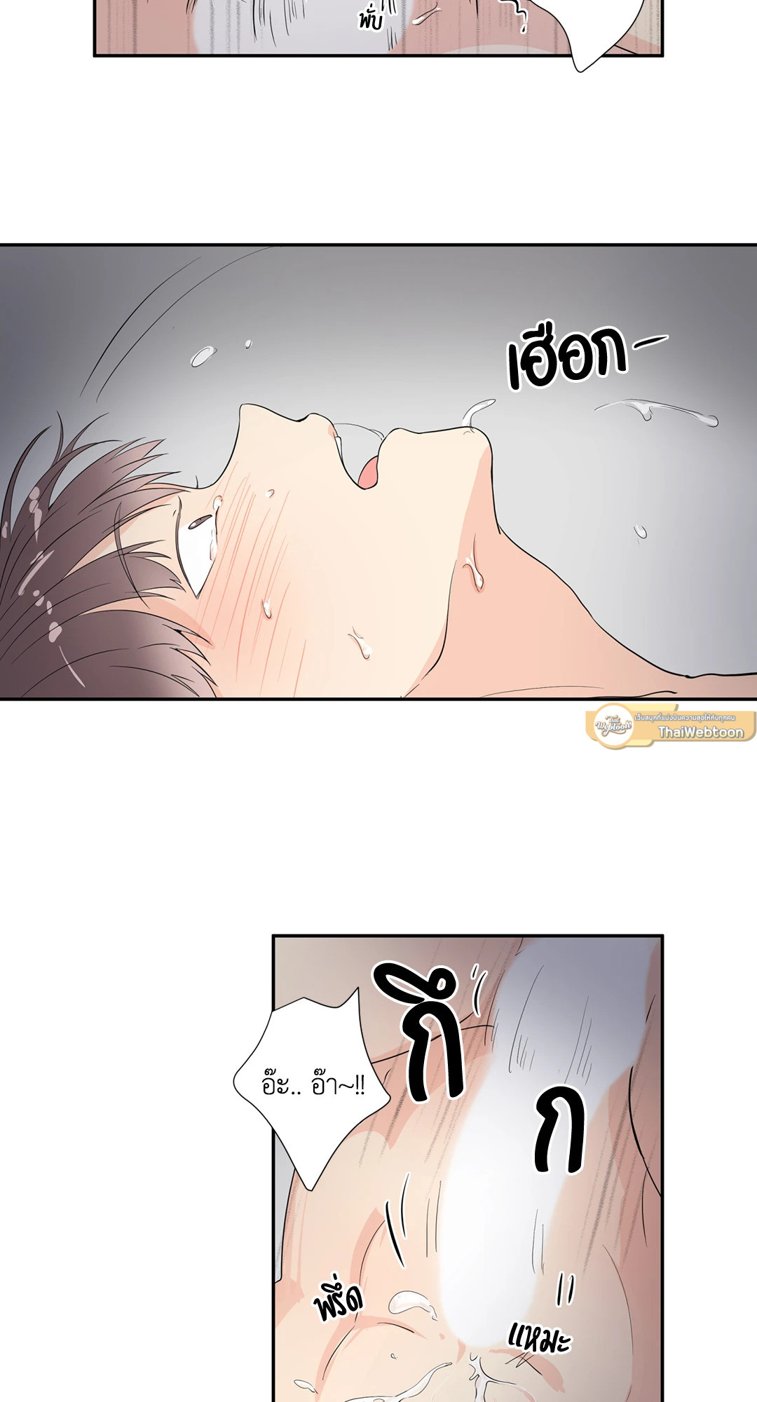 หน้า 44