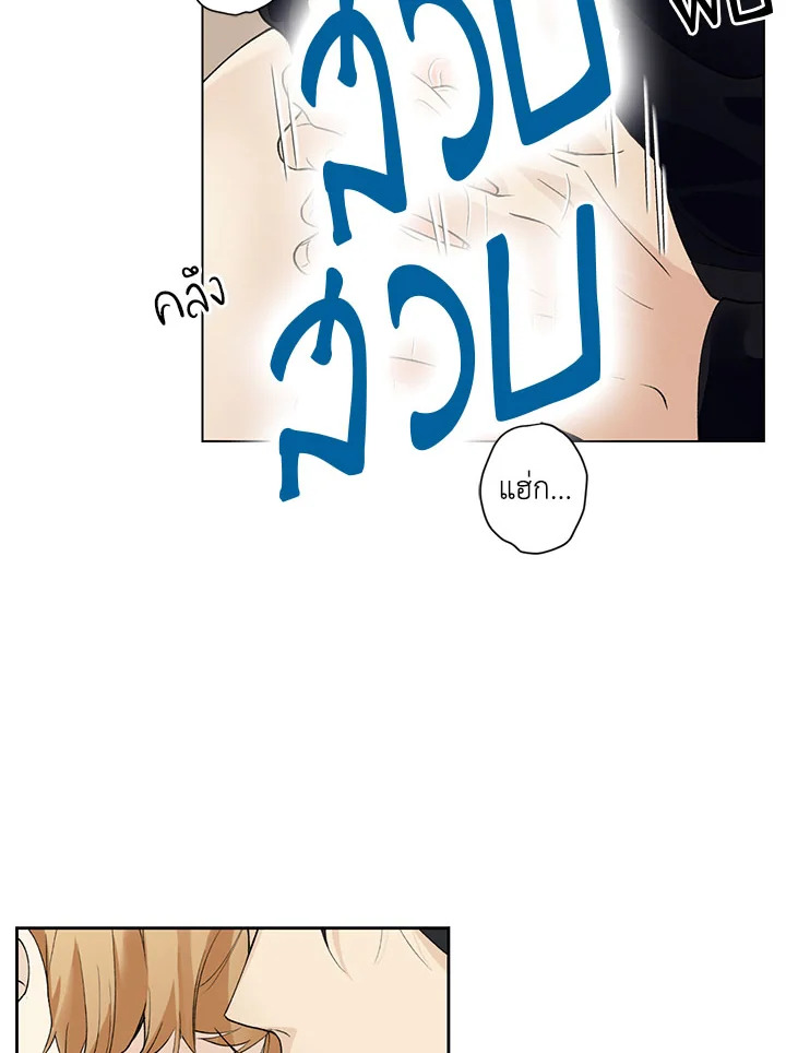 หน้า 61