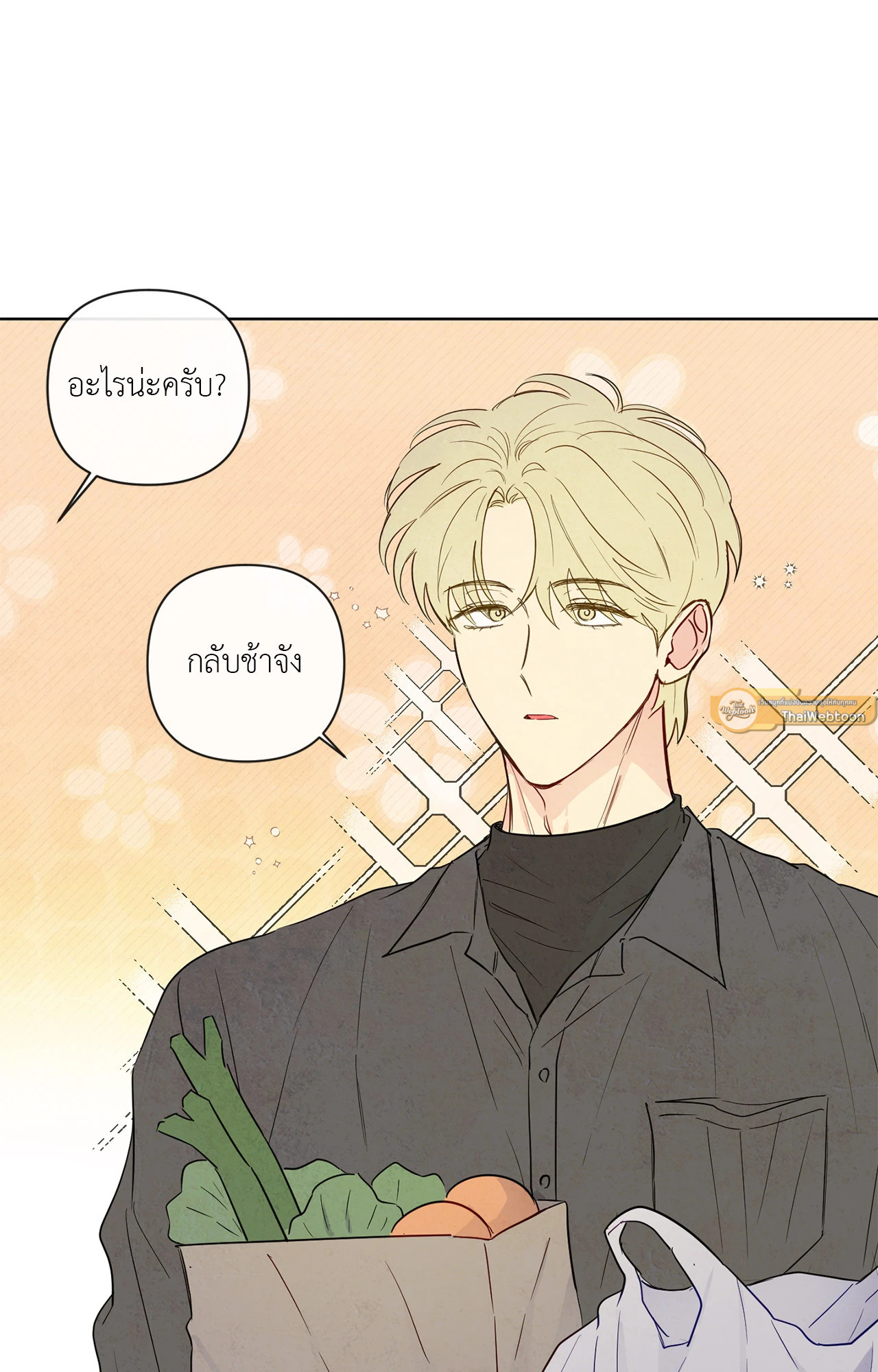 หน้า 47