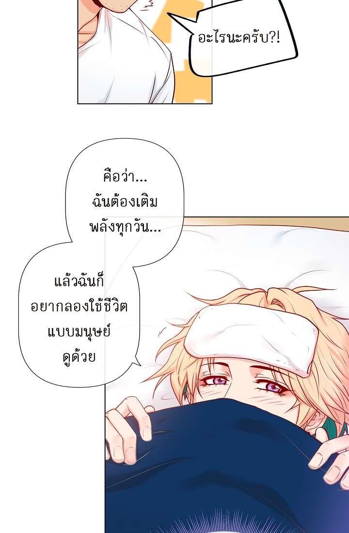 หน้า 41