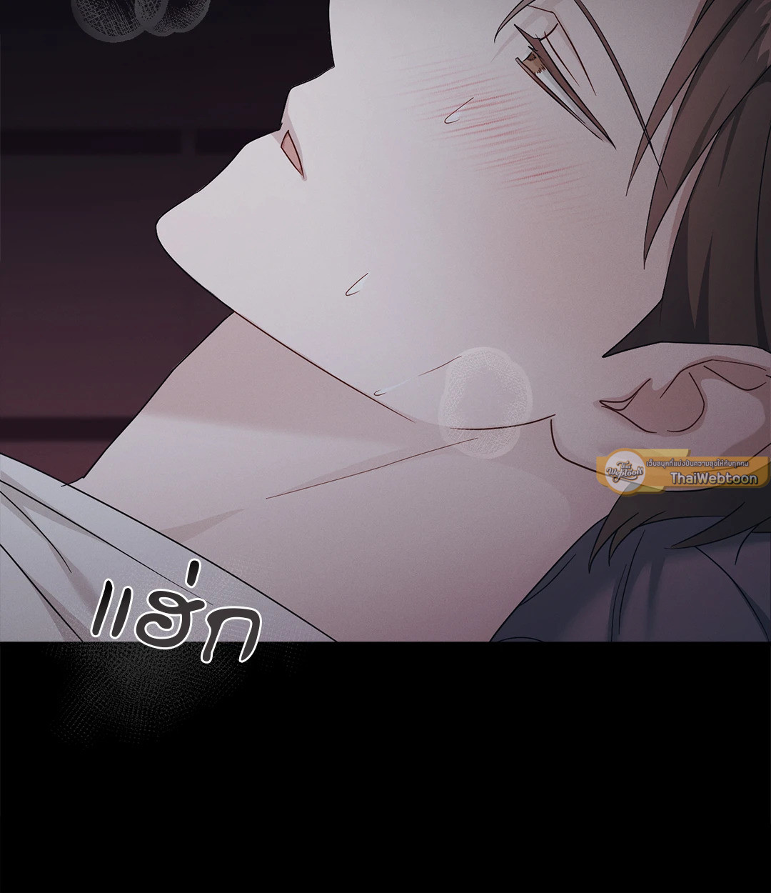 หน้า 46