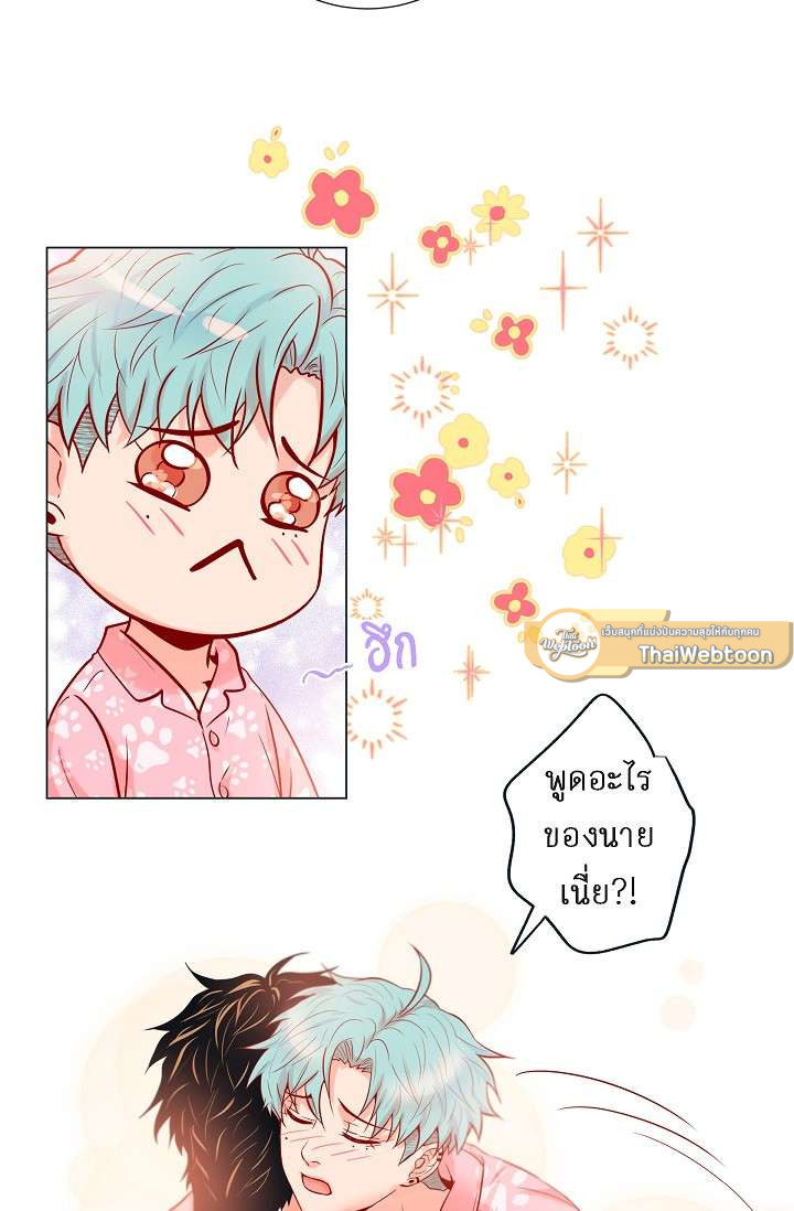 หน้า 43
