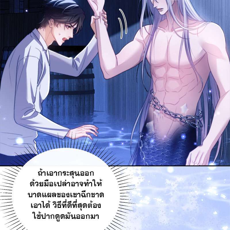 หน้า 61