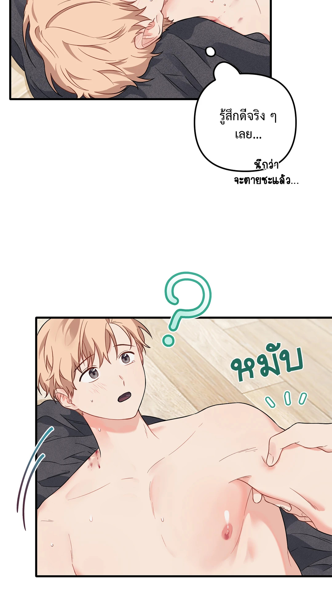 หน้า 30