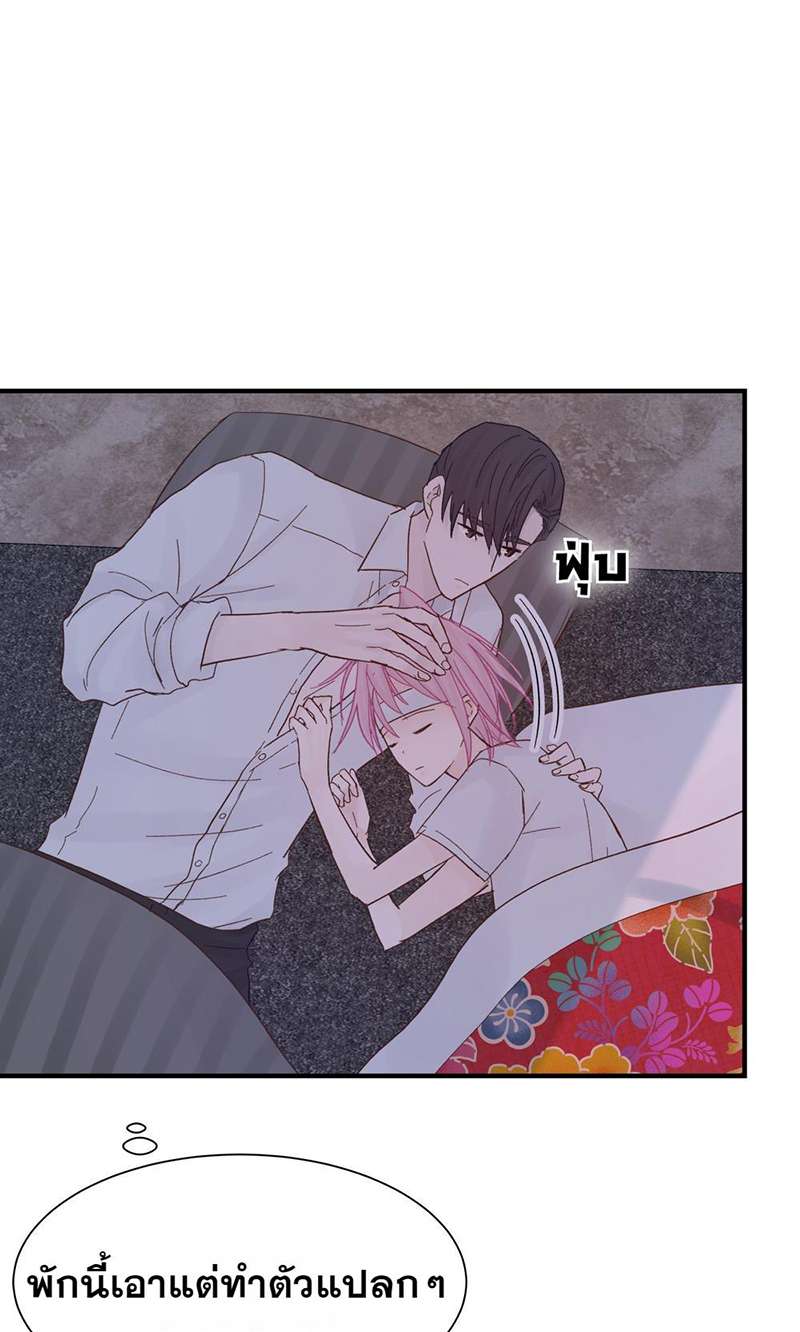 หน้า 41