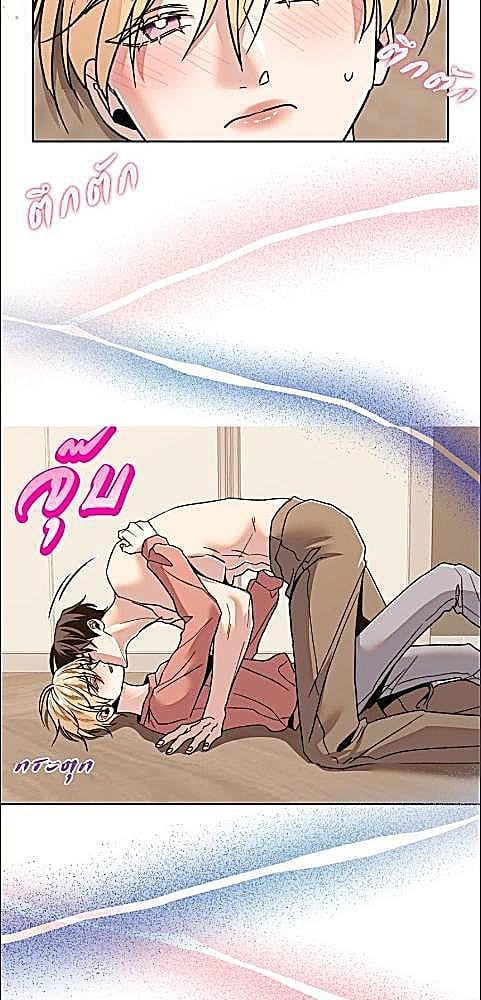 หน้า 24