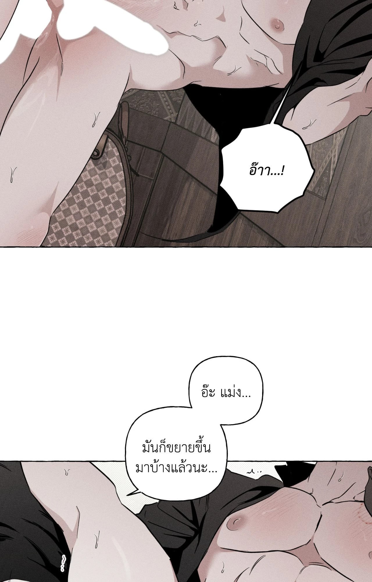 หน้า 51