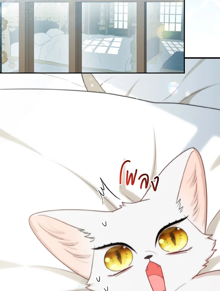 องค์หญิงจิ้งจอกแห่งตระกูลแกรนด์ดยุก | The Grand Duke’s Fox Princess ตอนที่ 11 - รูปที่ 2