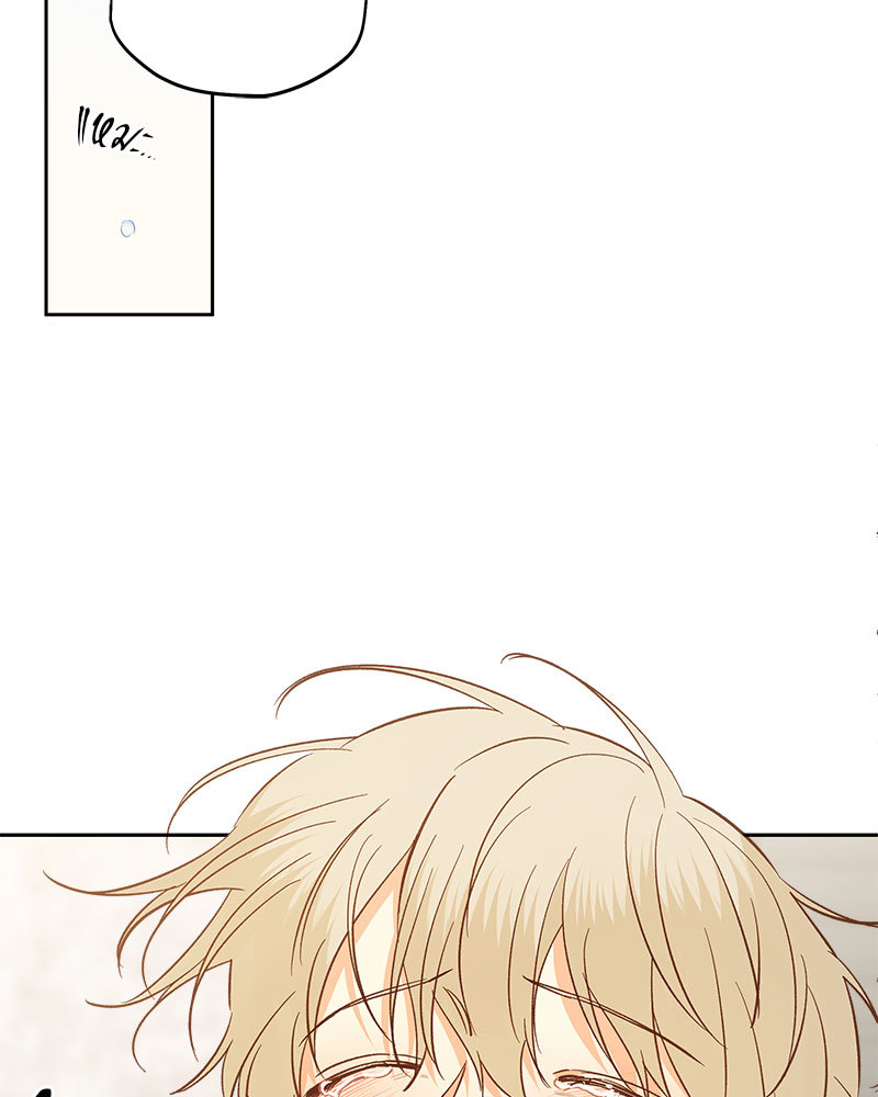 หน้า 95