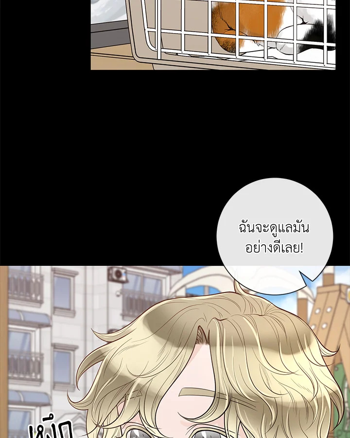 หน้า 42