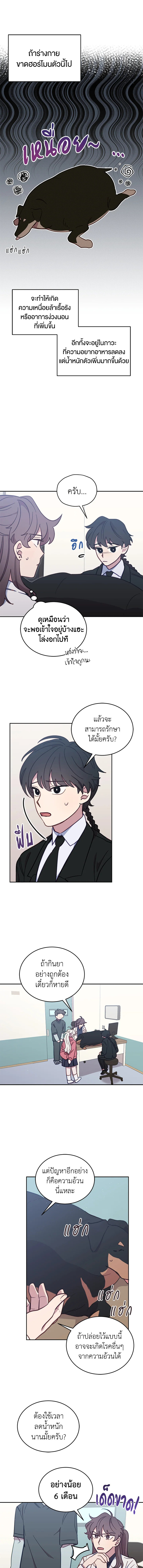 โรงพยาบาลสัตว์ไร้พรมแดน | An Animal Hospital in the Border Area ตอนที่ 33 - รูปที่ 2