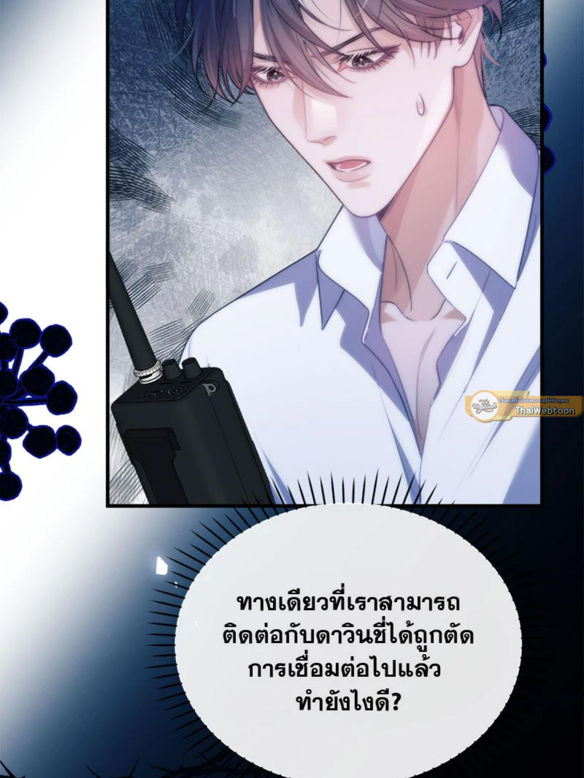 หน้า 31