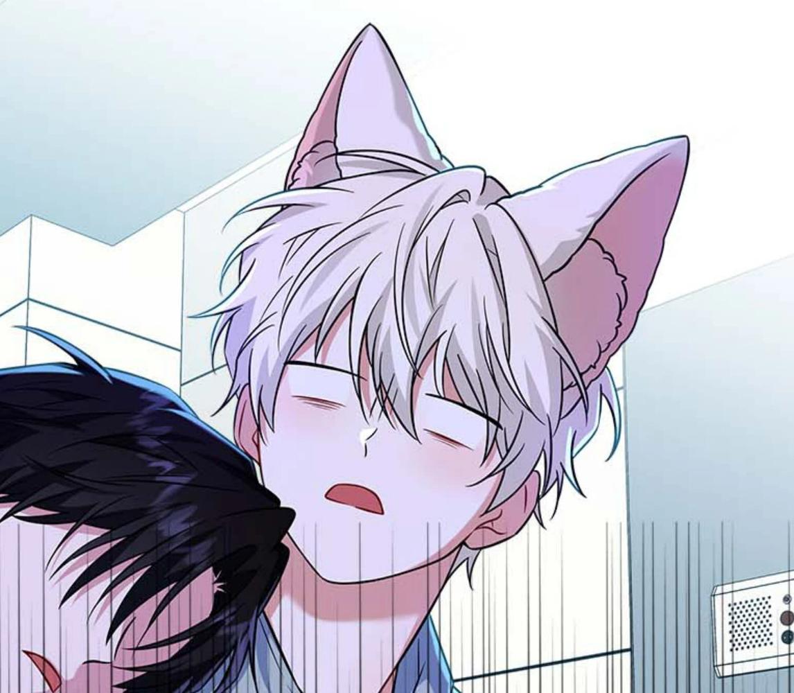 ดื่มรักรสฟลินน์ | Flynn’s Fox Drink ตอนที่ 18 - รูปที่ 2