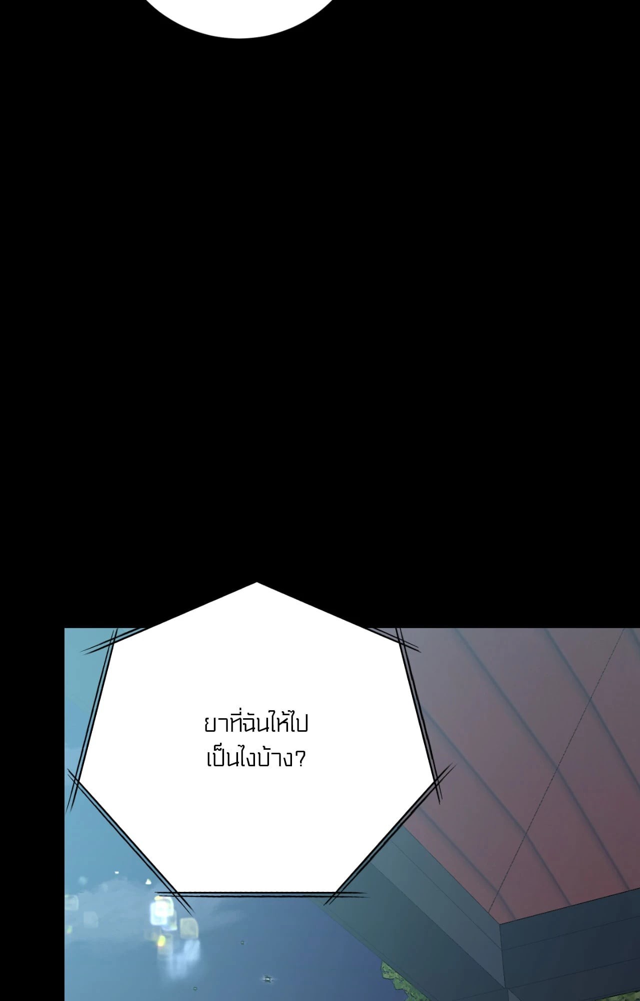 หน้า 102