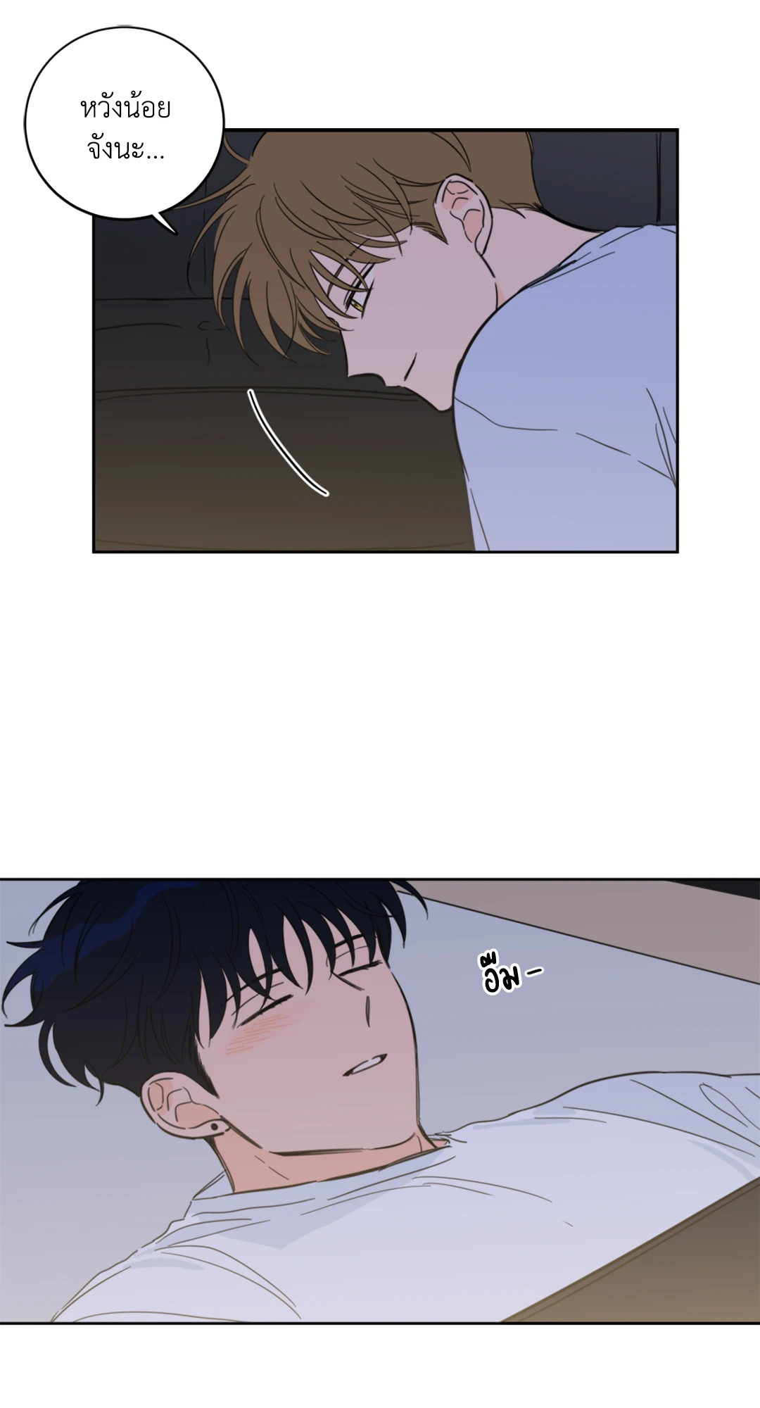 หน้า 30