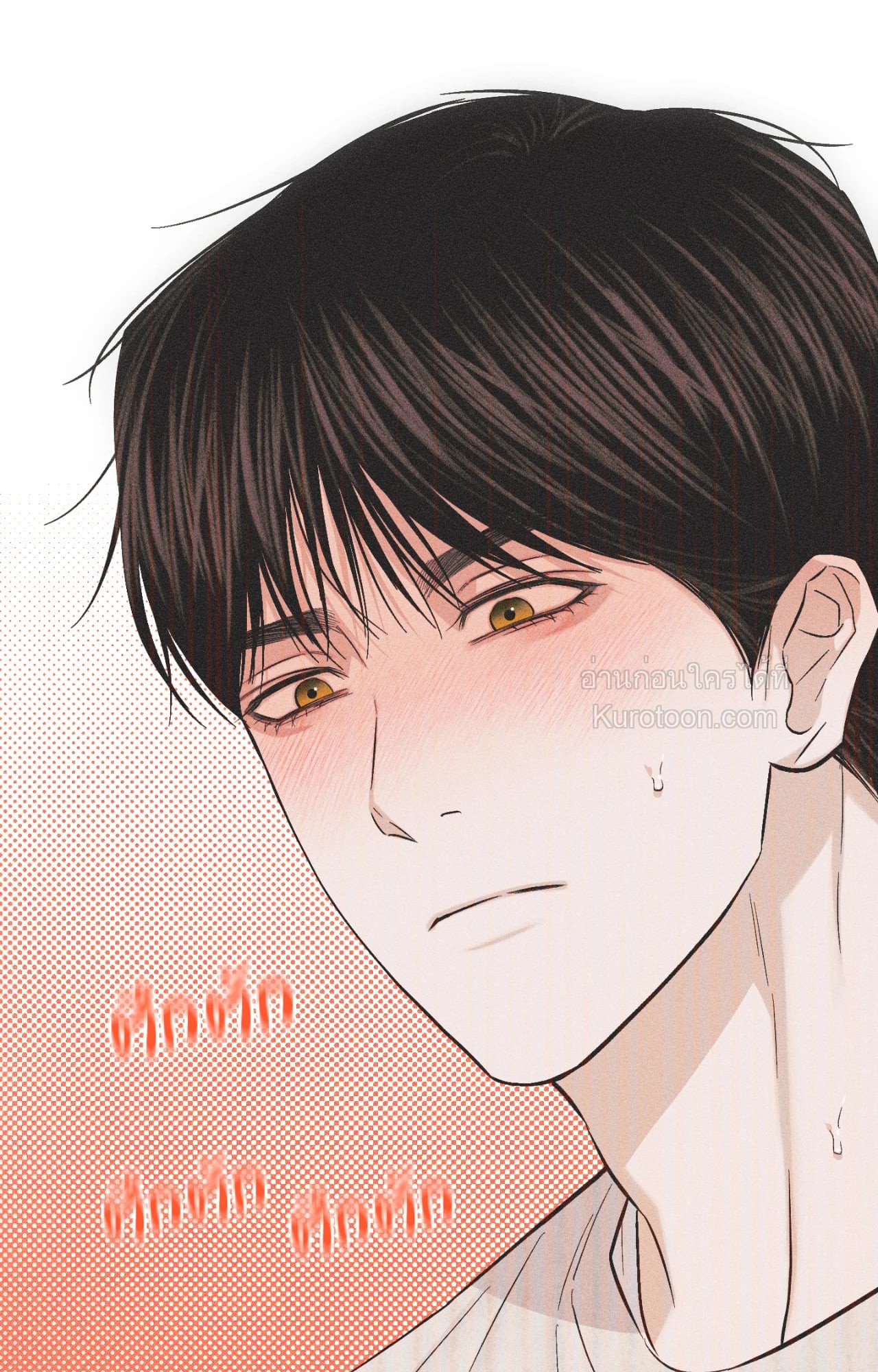 หน้า 97