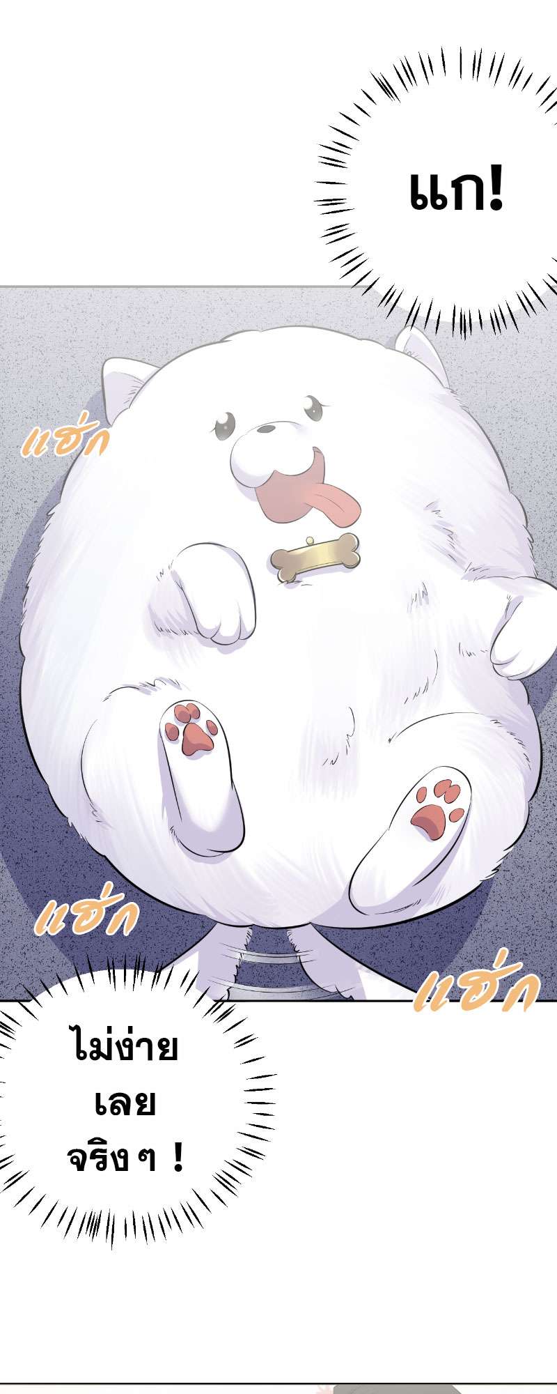 หน้า 21