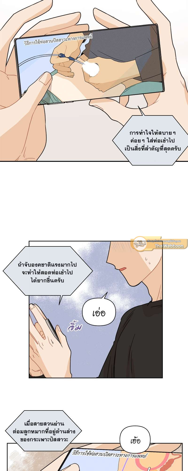 หน้า 20