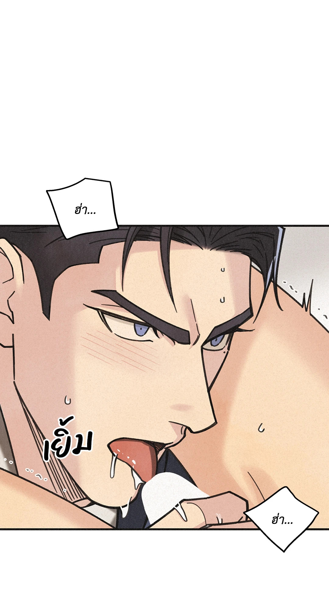 หน้า 43