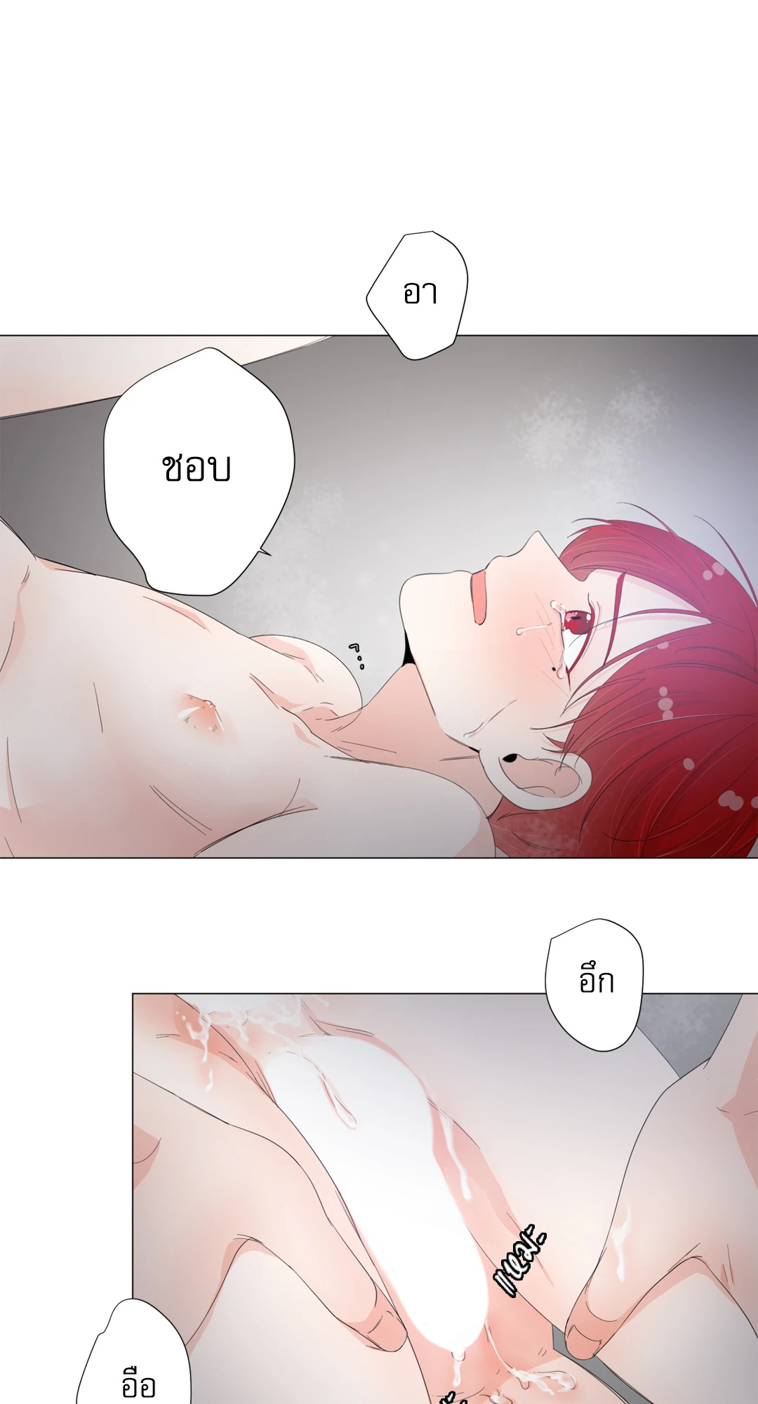 หน้า 43