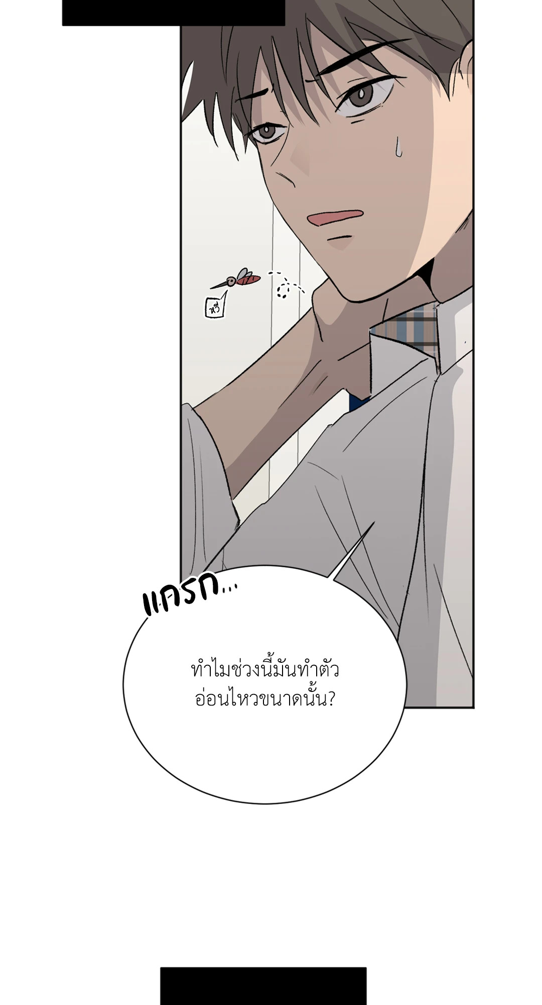 หน้า 24