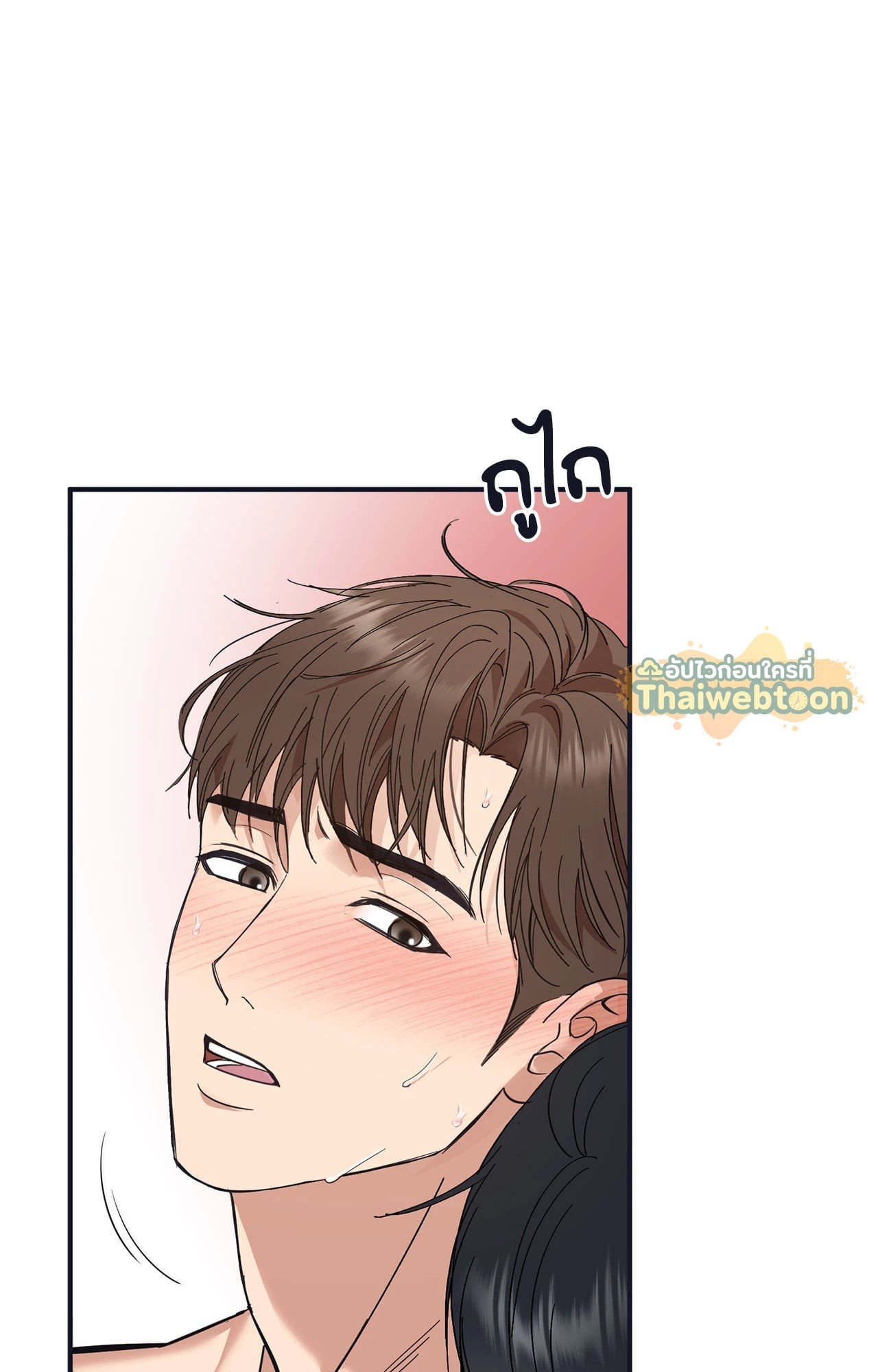 หน้า 146