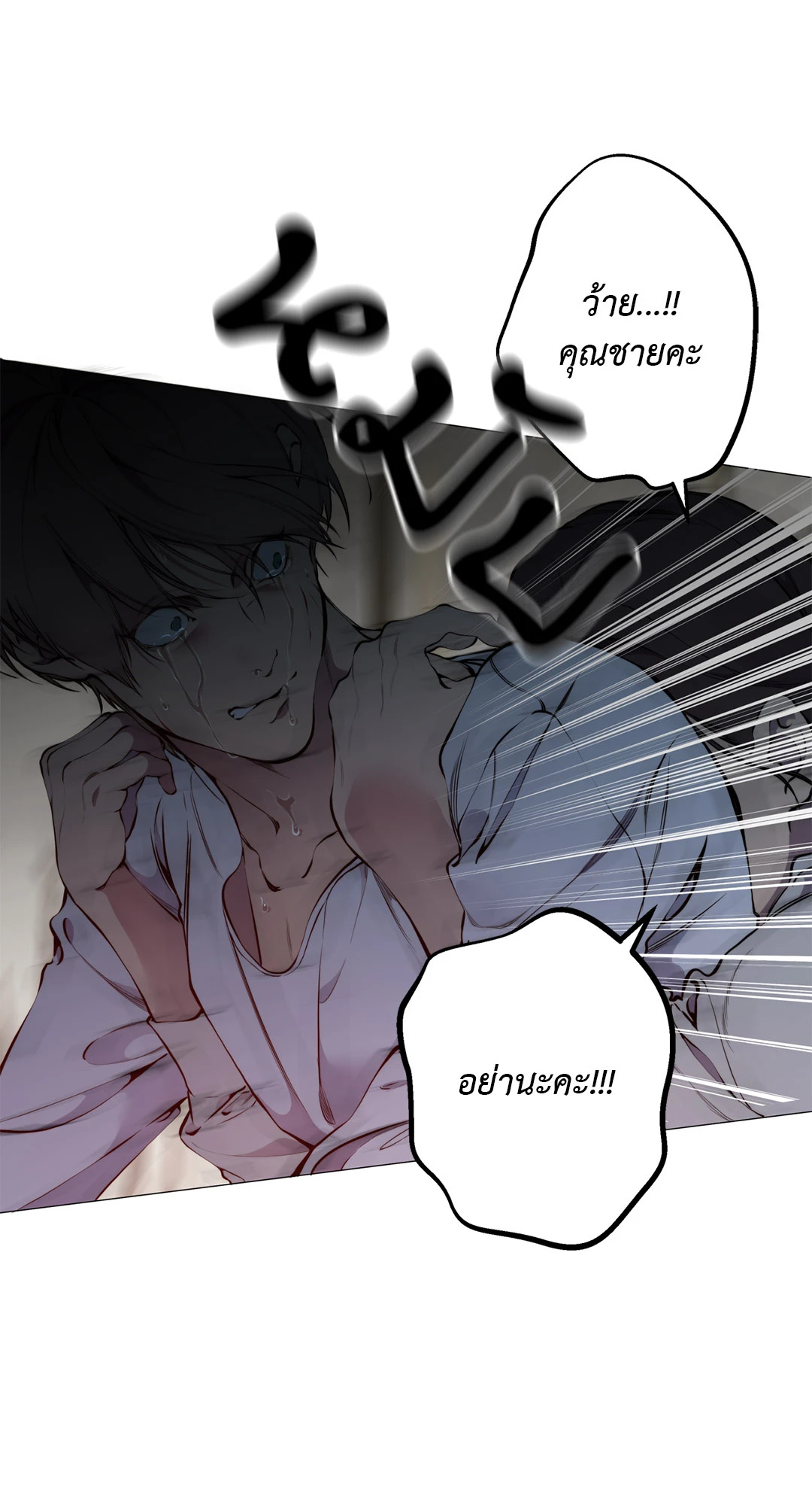 หน้า 41