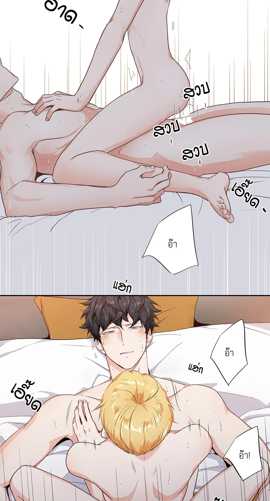 หน้า 29