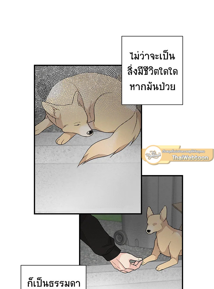 หน้า 42