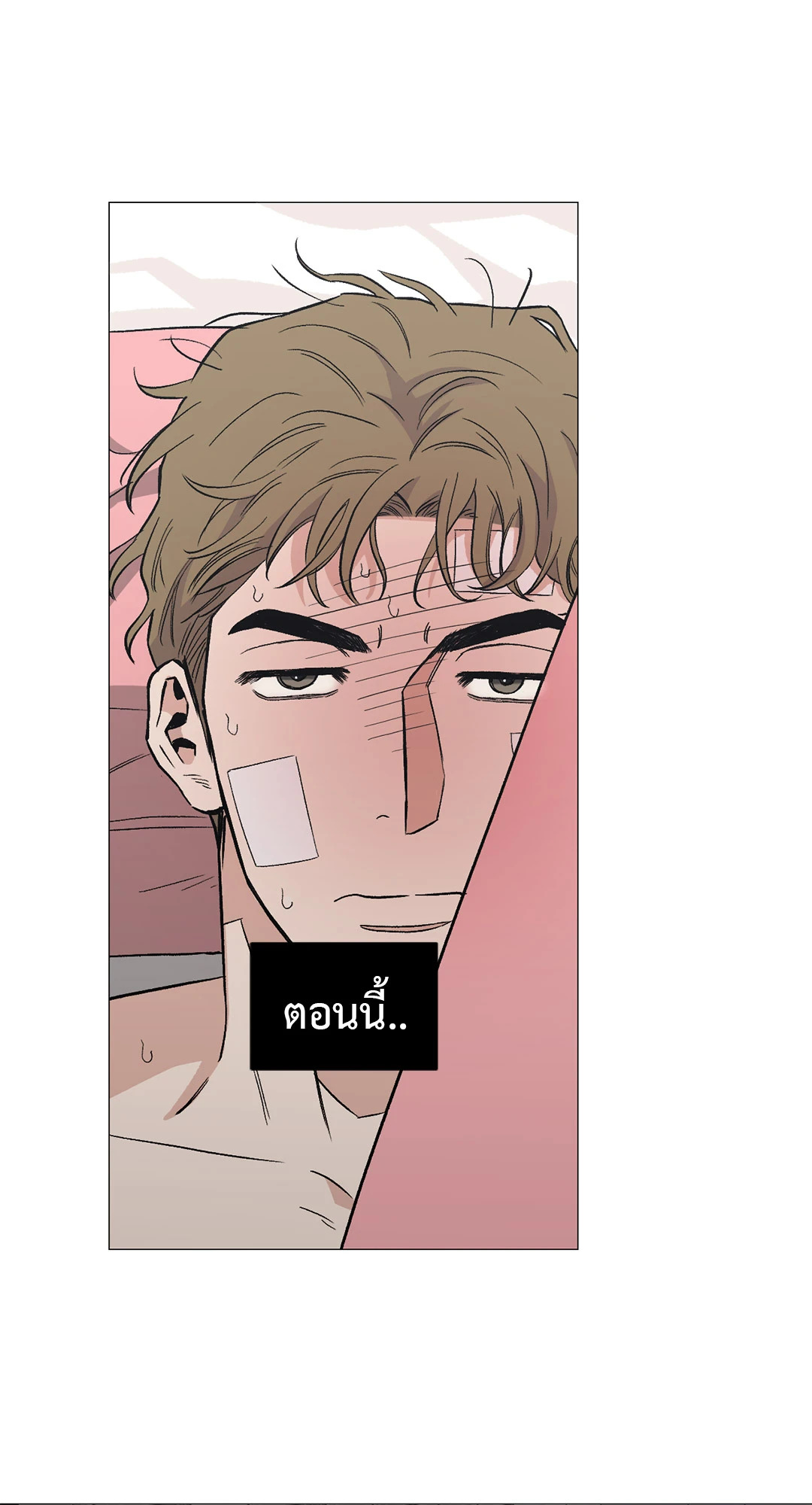 หน้า 49