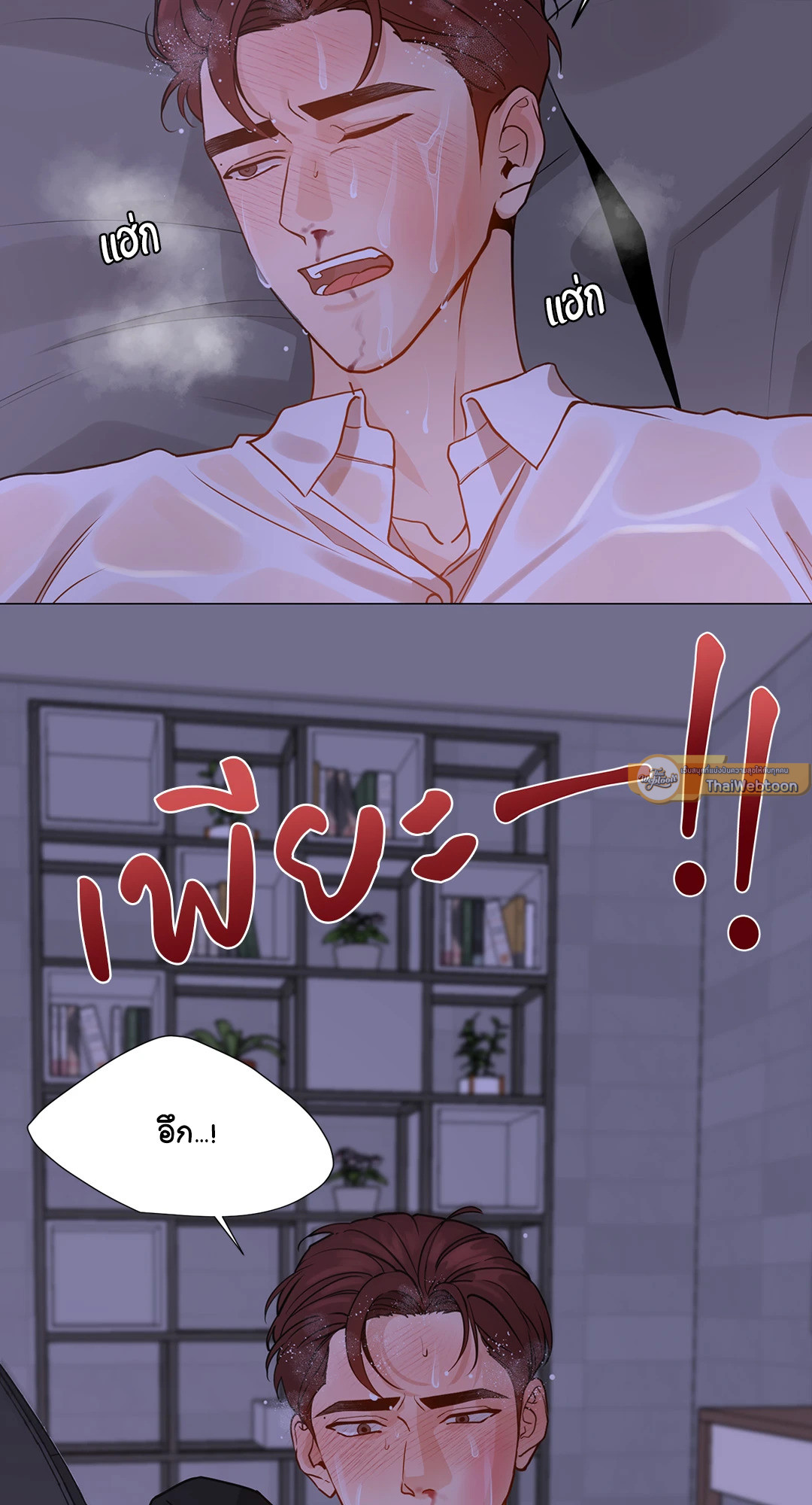 หน้า 19