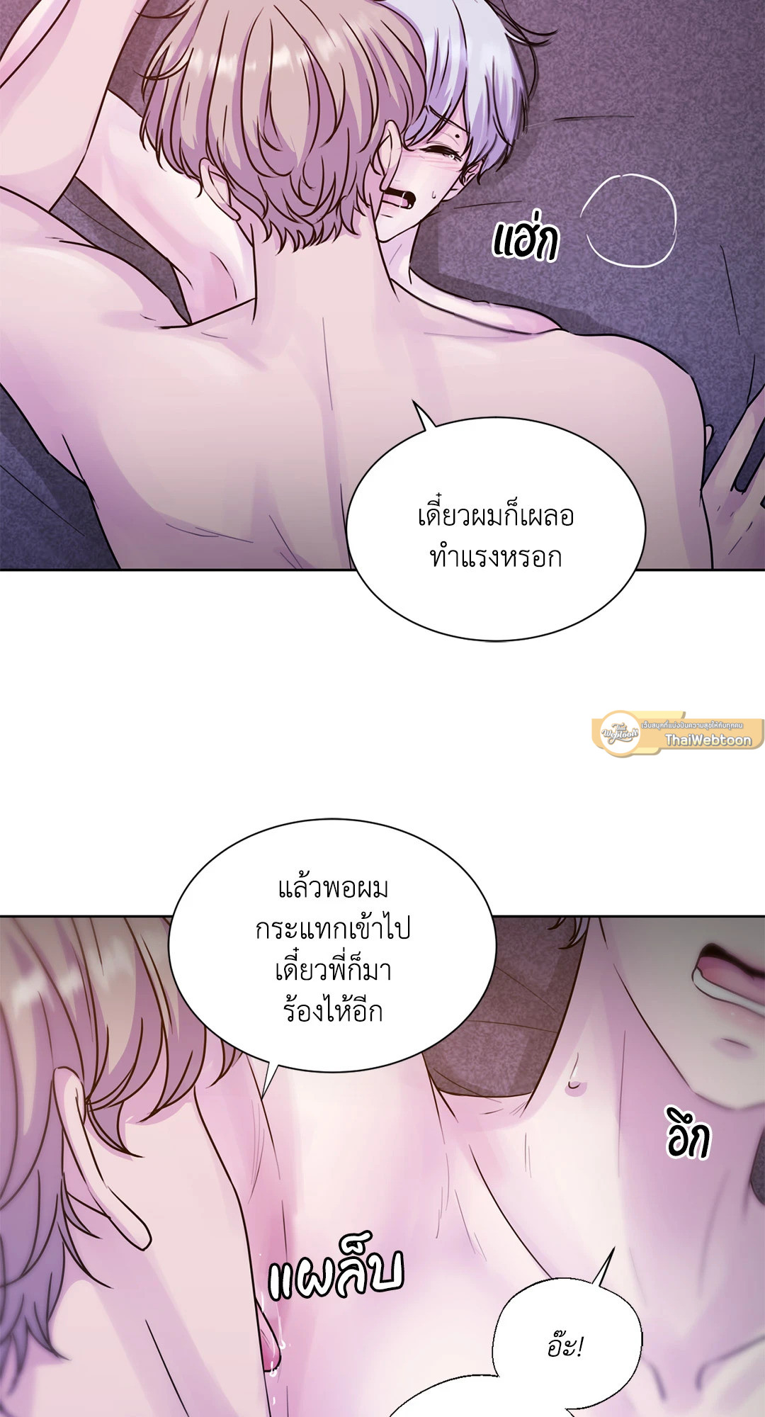 หน้า 43