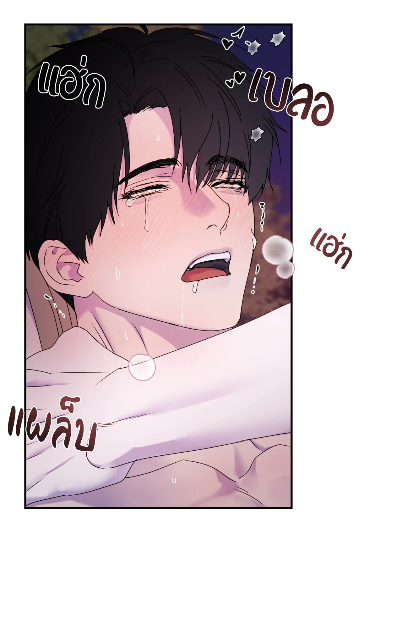 หน้า 41