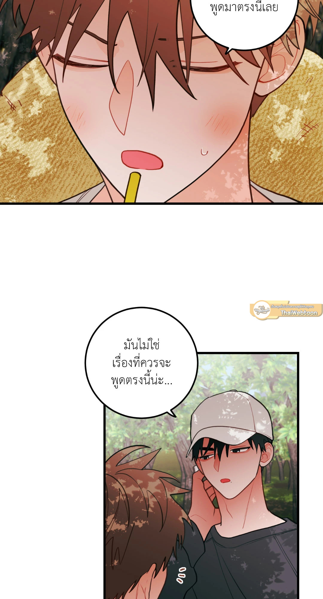 หน้า 30