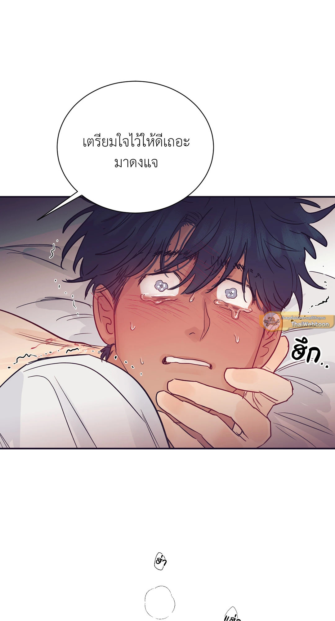 หน้า 43