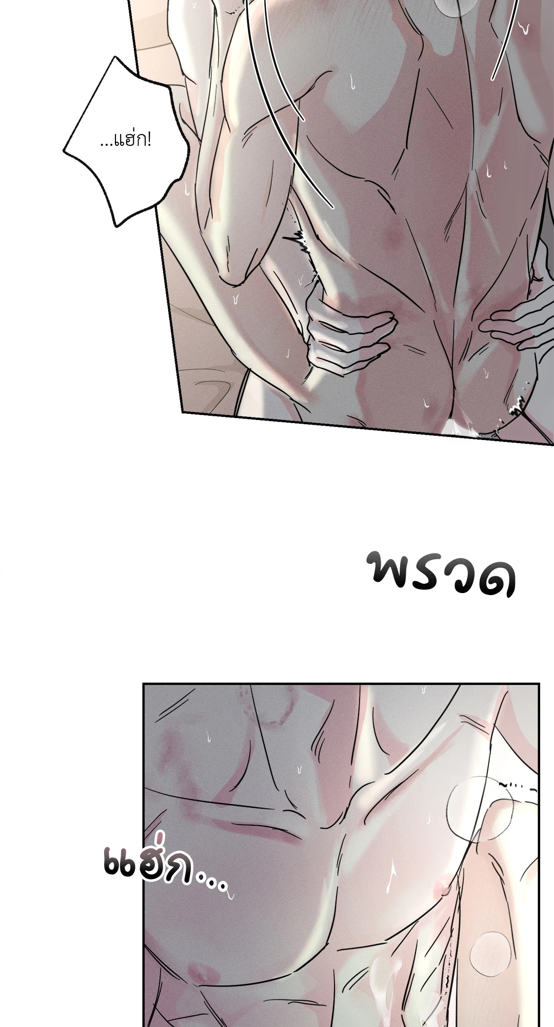 หน้า 81