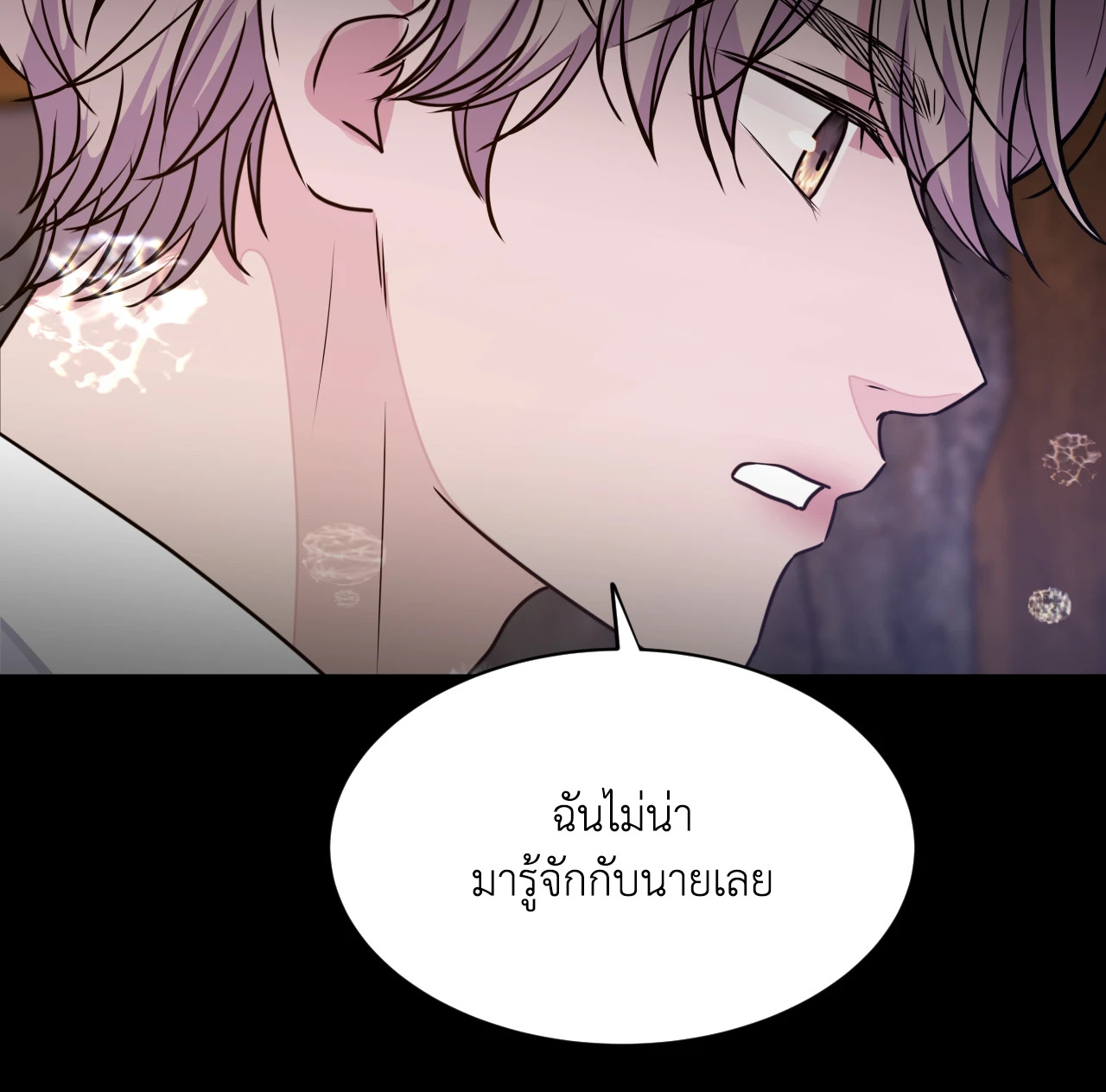 หน้า 85